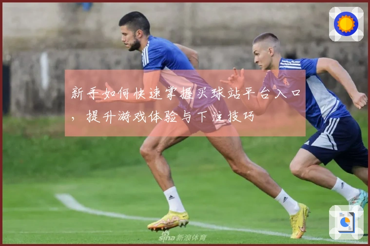 新手如何快速掌握买球站平台入口，提升游戏体验与下注技巧