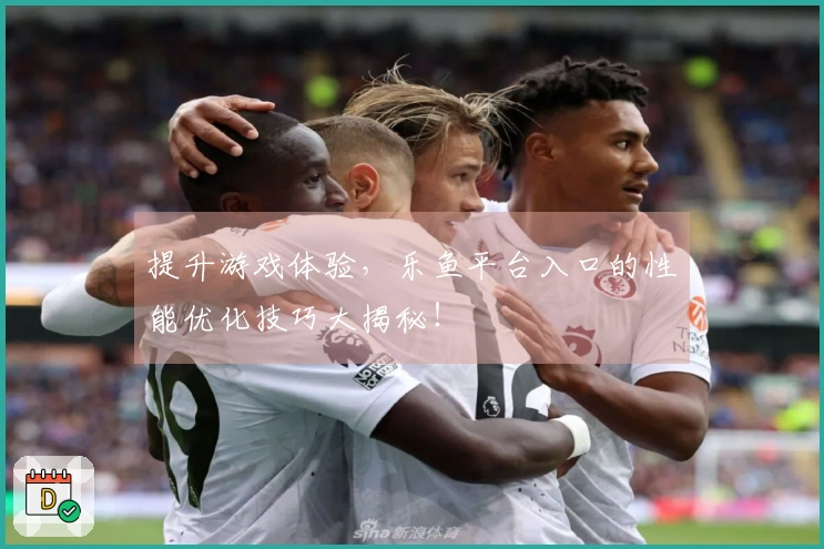 提升游戏体验，乐鱼平台入口的性能优化技巧大揭秘！