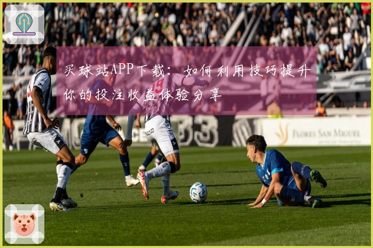 买球站APP下载：如何利用技巧提升你的投注收益体验分享