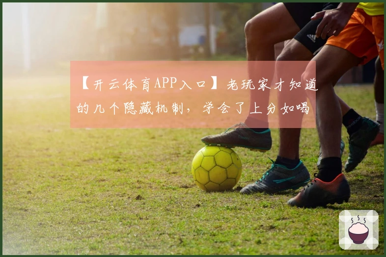 【开云体育APP入口】老玩家才知道的几个隐藏机制，学会了上分如喝水！