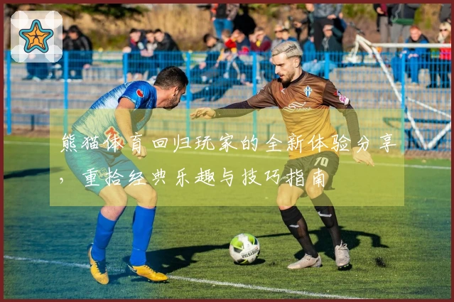 熊猫体育回归玩家的全新体验分享，重拾经典乐趣与技巧指南