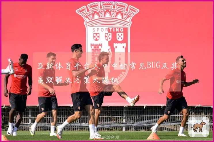 亚新体育平台入口中的常见BUG及其高效解决方案大揭秘