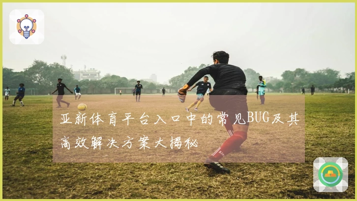 亚新体育平台入口中的常见BUG及其高效解决方案大揭秘